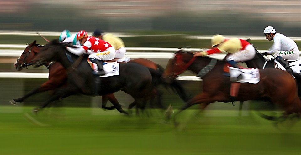 Beginners guide to betting on horses zaheer anvari forex market