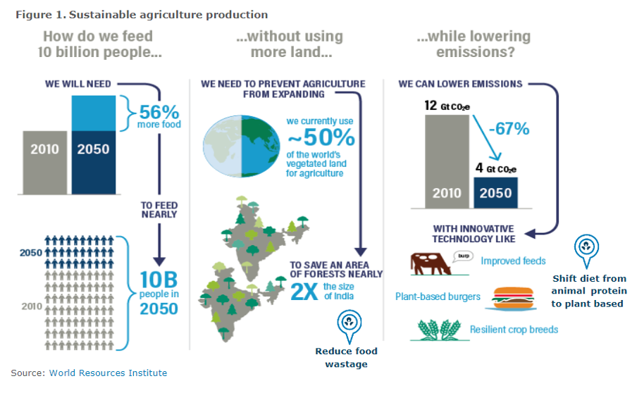 Gráfico de agricultura sostenible 1.png